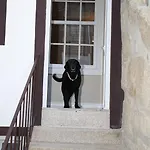Albergue Fishtail Sea House Matosinhos (Porto)