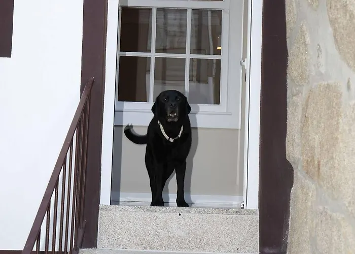 호스텔 Fishtail Sea House 마토지뉴스